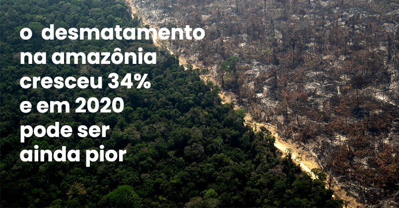 Leia mais sobre o artigo Entidades ambientalistas e partidos políticos vão ao STF por volta imediata de plano contra desmatamento